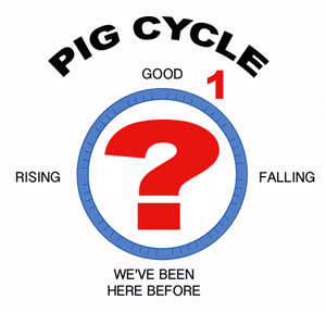Pig cycle